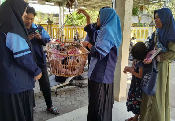 Bersama Kader Posyandu, Mahasiswa KKN UIN Semarang Ikut Terlibat Dalam Kegiatan Posyandu Dusun Mijen